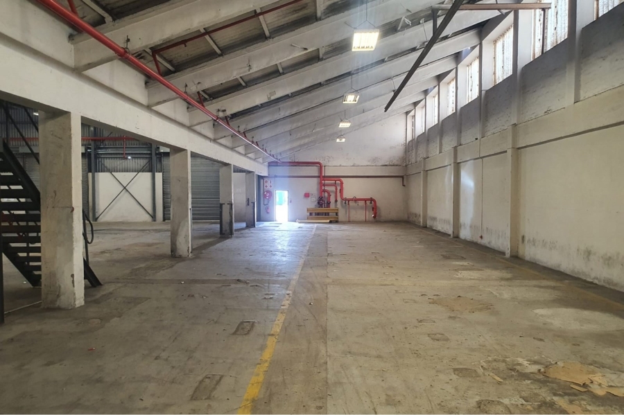 To Let commercial Property for Rent in Deal Party Eastern Cape